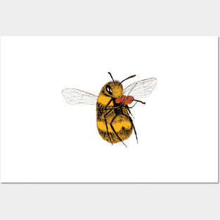 Talented Bee Posters and Art